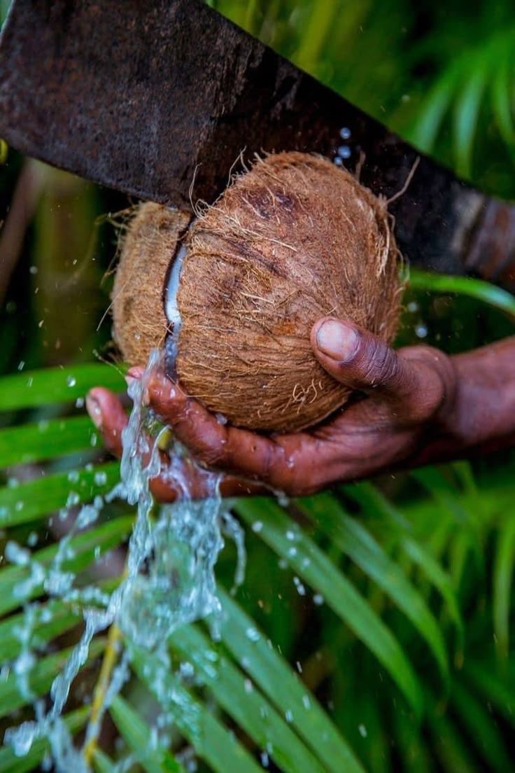 Tanzanian food, local flavours and hospitality
