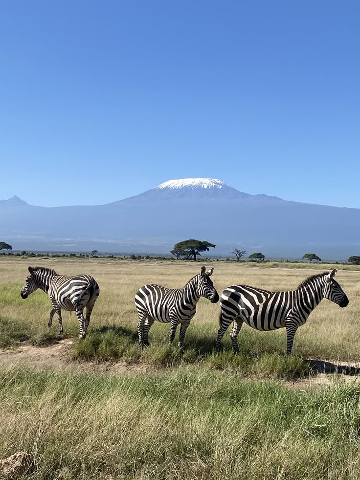 Trekkers following a mountain trail on Kilimanjaro