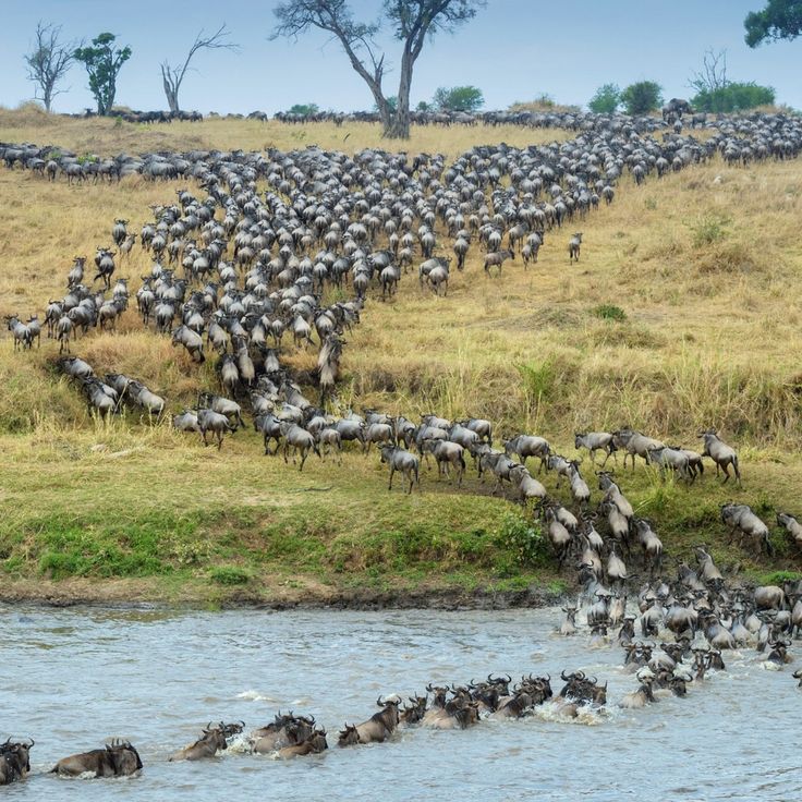Serengeti National Park