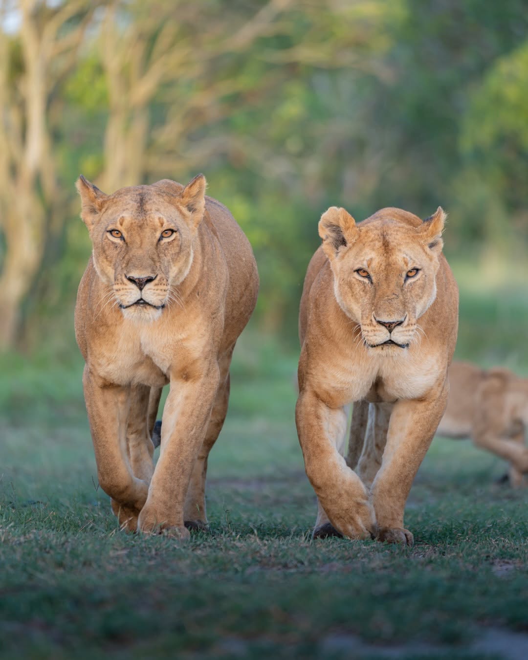 Serengeti National Park