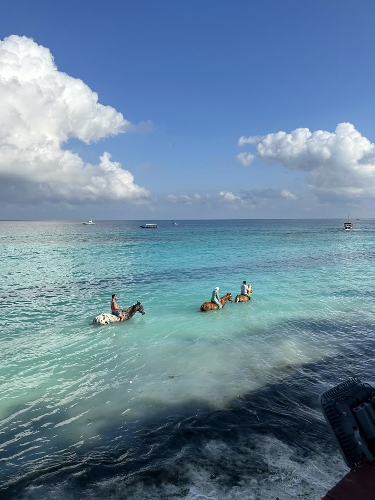 Safari & Zanzibar