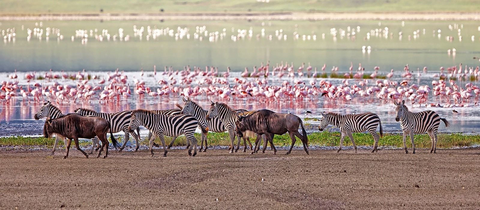 2-Days-Tarangire-and-Lake-Manyara-Safarisa