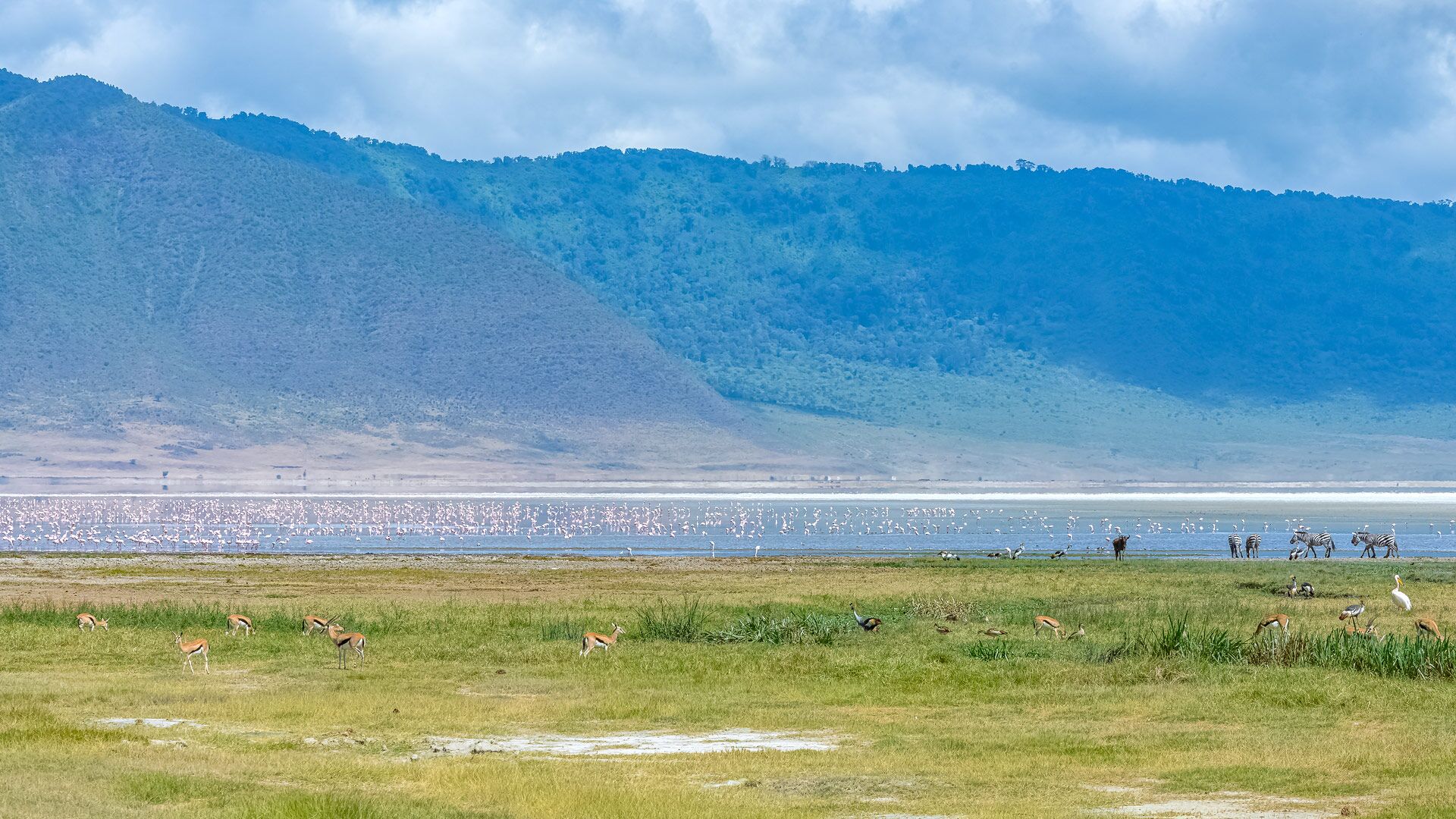 Ngorongoro Crater