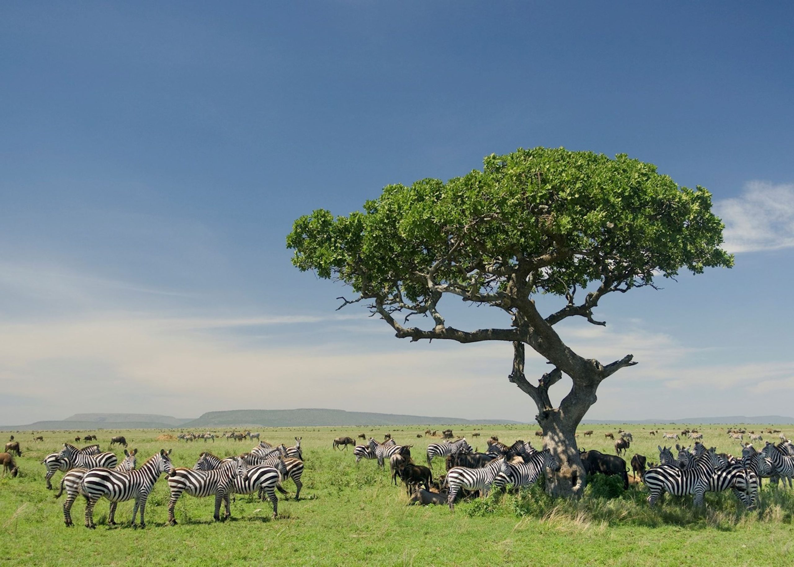 Serengeti National Park