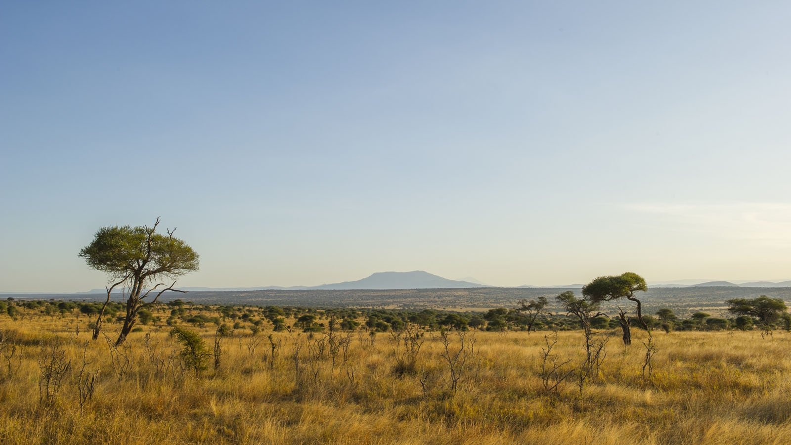 Tarangire National Park
