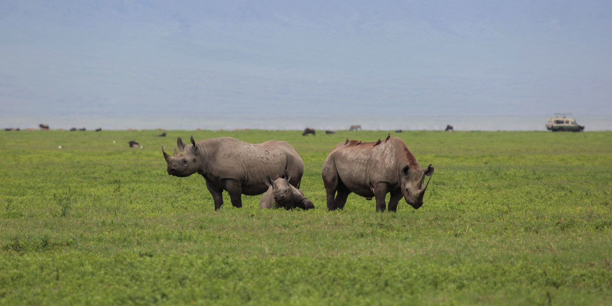 Tarangire, Ngorongoro, Manyara & Lake Eyasi