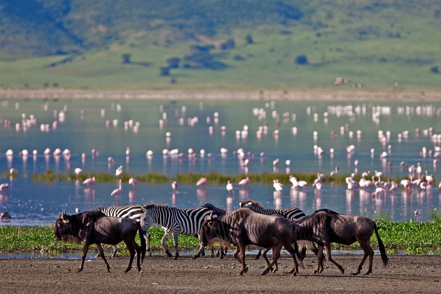 a-lake-manyara-national-park