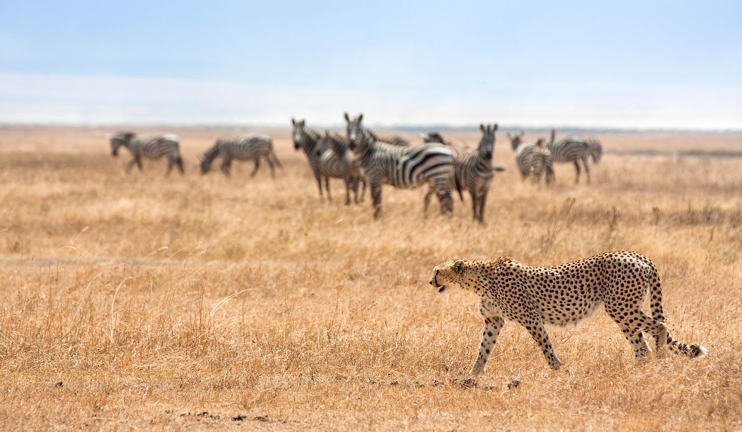 ngorongoro-crater