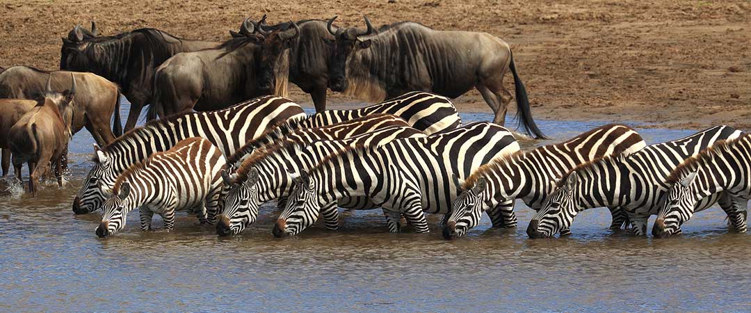 serengeti-national-park-1