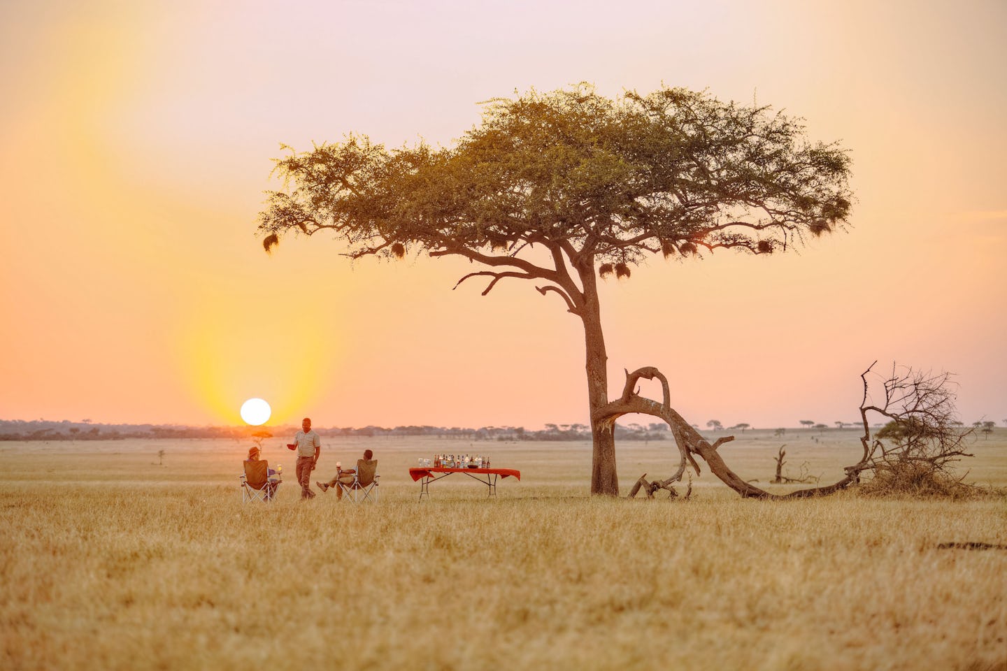 serengeti